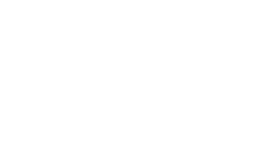 Wasp Co Logo